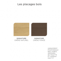 Caisson bas Signature L40 - 1 porte, finition placage Chêne brut naturel - DECOTEC Réf.1823341