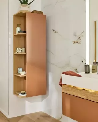 Colonne Caf� Terrace 50cm 1 porte droite Ch�ne / Laque - JACOB DELAFON R�f. EB2436D-Px-TL