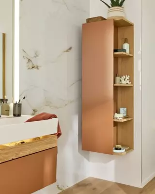 Colonne Caf� Terrace 50cm 1 porte gauche Ch�ne / Laque - JACOB DELAFON R�f. EB2436G-Px-TL