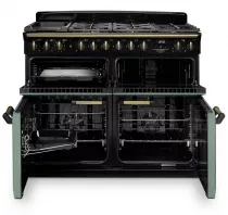 Cuisini&egrave;re mixte 110cm Falcon Classic Deluxe NGC Vert min&eacute;ral laiton antique CLDLB110DFPMGR/AB-E1 3 fours / 5 foyers gaz 2 vitro