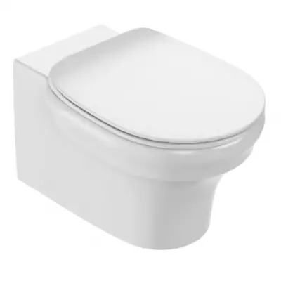 Cuvette suspendue Cl�o 1889 sans bride Blanc (abattant en option) - JACOB DELAFON R�f. EDZ102-0