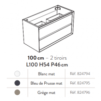 Meuble sous-plan EREBOR 100cm 2 tiroirs Blanc Mat - AQUARINE Réf. 824794