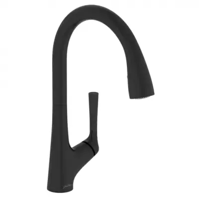 Mitigeur �vier Malleco avec douchette Noir mat - JACOB DELAFON R�f. E562-BL