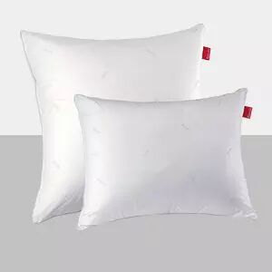 Oreiller ALOE MOELLEUX 520g - 65 x 65 cm - EPEDA R�f. JD1427400000200