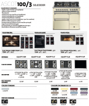 Piano de cuisson STEEL Ascot 100/3 Solid Door 100cm 1 four combi steam + 1 four traditionnel + 1 four pizza/grill