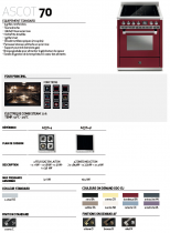 Piano de cuisson STEEL Ascot 70cm 1 four combi steam 