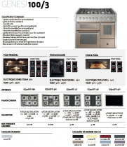 Piano de cuisson STEEL Genesi 100/3 100cm 1 four combi steam + 1 four traditionnel + 1 four pizza/grill