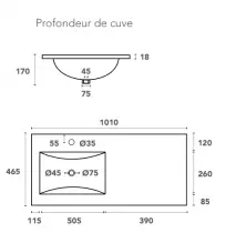 Plan vasque Cérès 101x46.5cm vasque à gauche Blanc  - OZE Réf. VAS-1000CER-CG